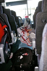 Stanford Cardinal