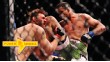 Werdum