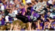TCU Horned Frog