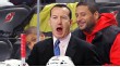 Dineen