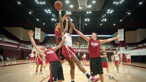 Stanford Cardinal