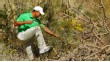 Tiger Woods