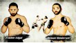 UFC 144 Illustration