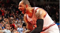 Bulls