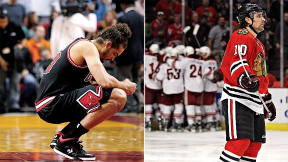 Bulls & Blackhawks