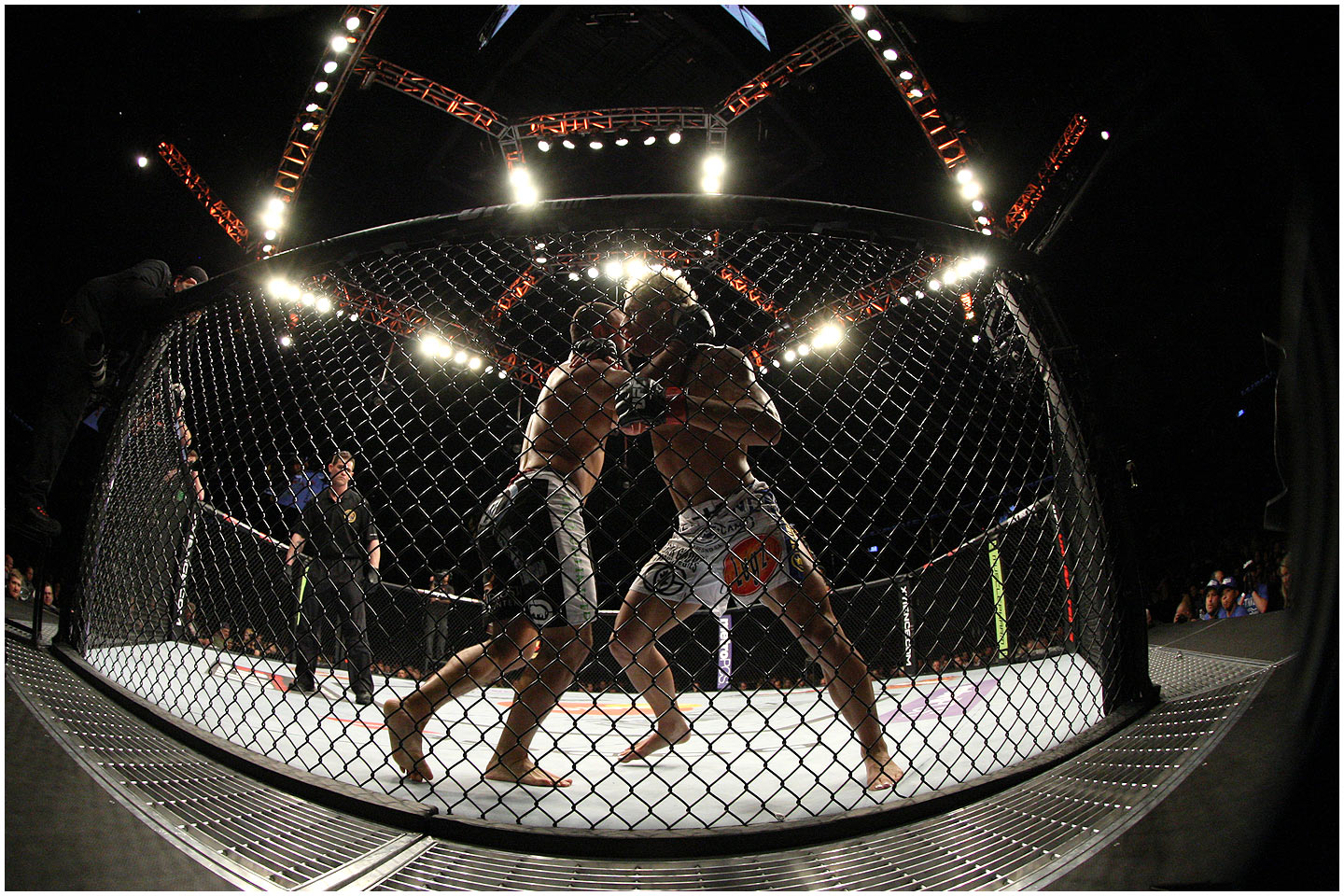 UFC FOX ROI Return on Investment Sports media Raelyn McDonald