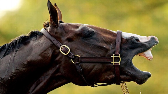Union Rags
