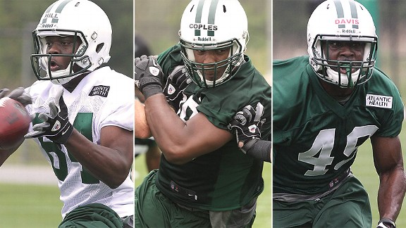 Stephen Hil, Quinton Coples, Demario Davis