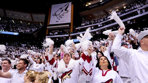 Phoenix Coyotes