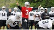 Carson Palmer