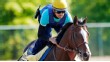 George Alvarez, Bodemeister