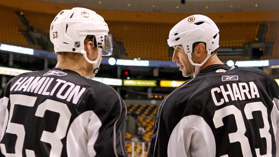 Zdeno Chara, Dougie Hamilton