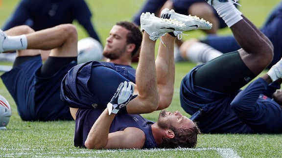 Wes Welker