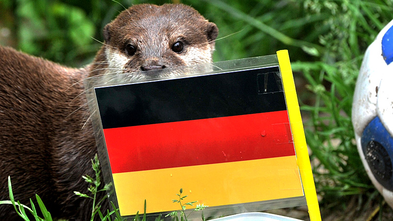 otters germany