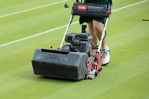 Wimbledon Grass