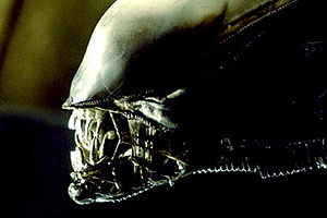 Alien Head