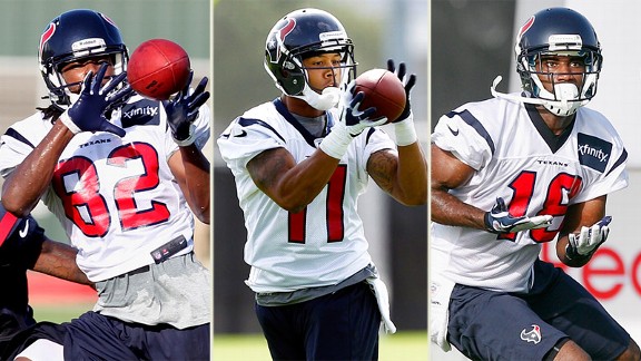 Keshawn Martin, DeVier Posey, Lestar Jean