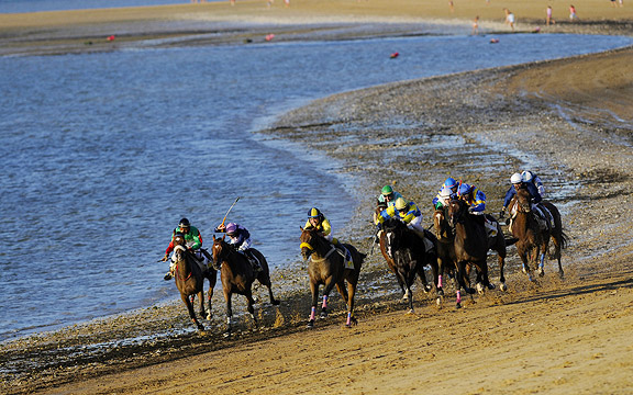 Horses