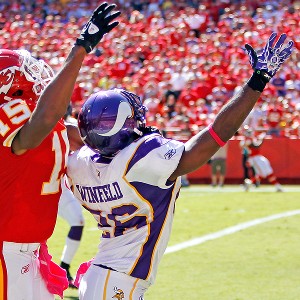 Minnesota Vikings 2011 Preview - ESPN