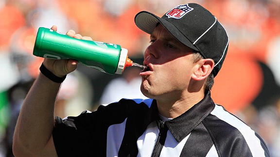 Officials