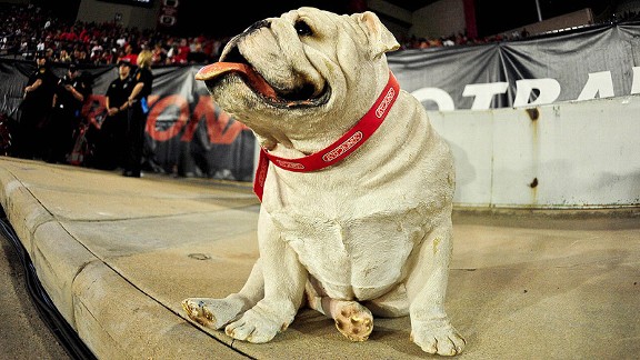 South Carolina State Bulldog