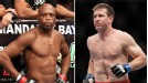 UFC 153