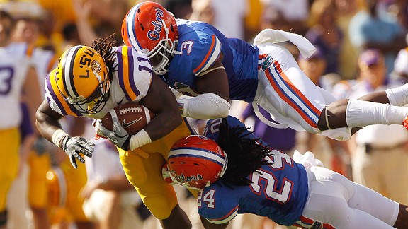 Gator D