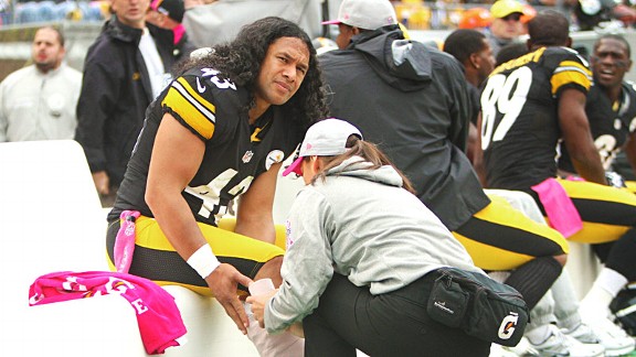Troy Polamalu