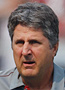 Leach