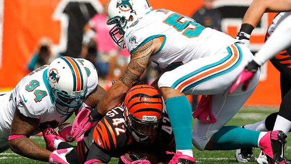 Dolphins D
