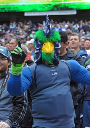Seattle Seahawks fan