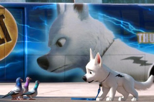 Bolt