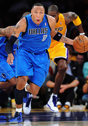 Shawn Marion