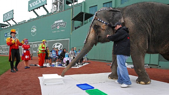 Elephant