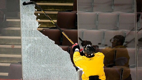 NHL Glass