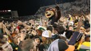 CFB