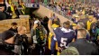 Manti Te'o