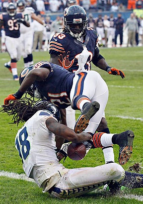 Bears