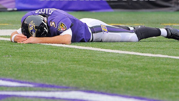 nfl_g_flacco_gb2_576.jpg