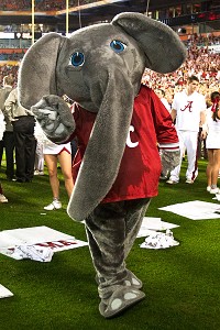 Big Al