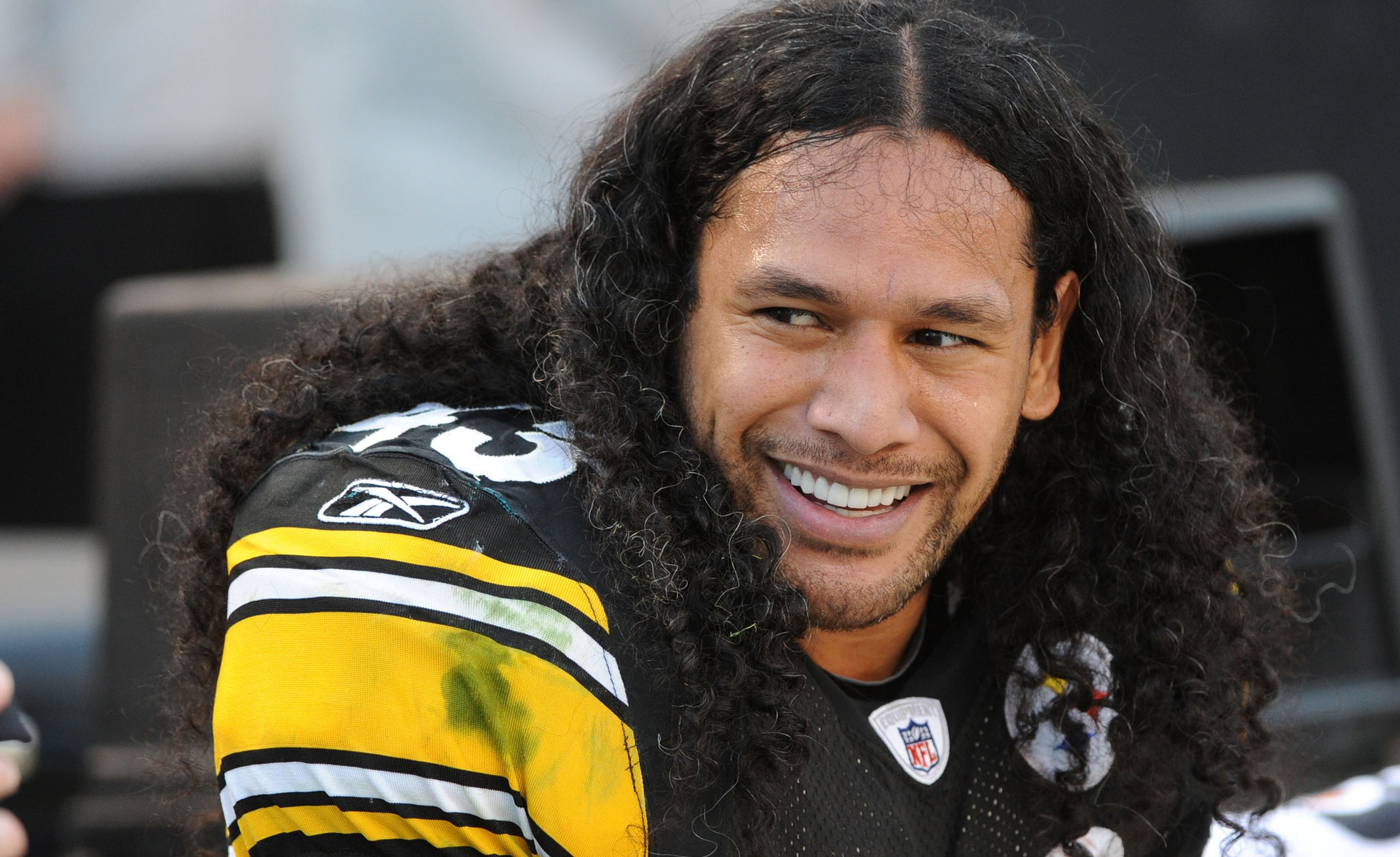 Image result for troy polamalu