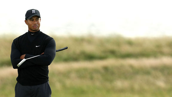 tiger