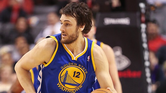 Andrew Bogut