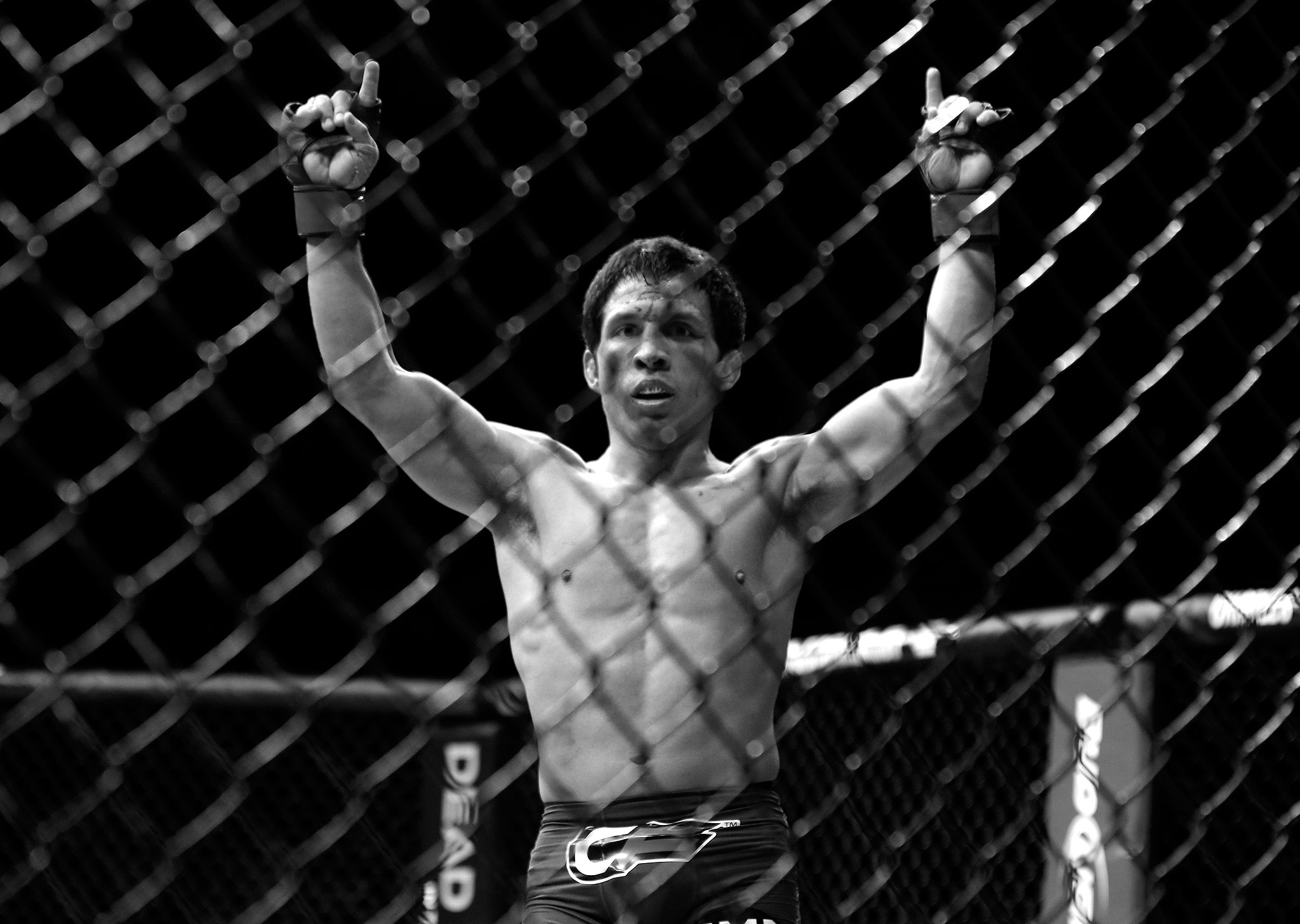 Joseph Benavidez UFC 156 ESPN