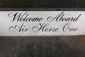 Air Horse One