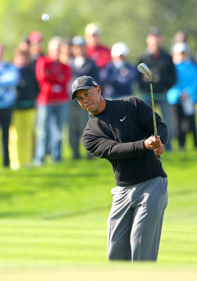 Tiger Woods