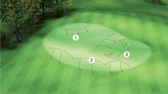Golf Illo