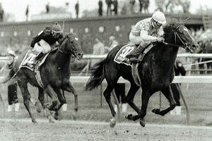 Easy Goer