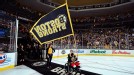 Bruins