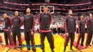 Bulls